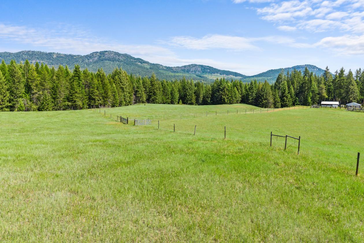 Level 20.65 acres w/Creek, Pasture & Woods - photo 1