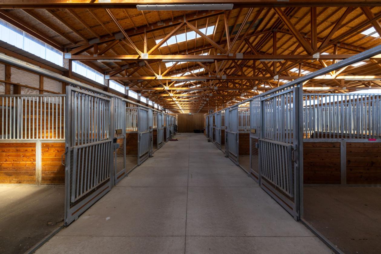 Commercial Horse Training Facility - photo 12
