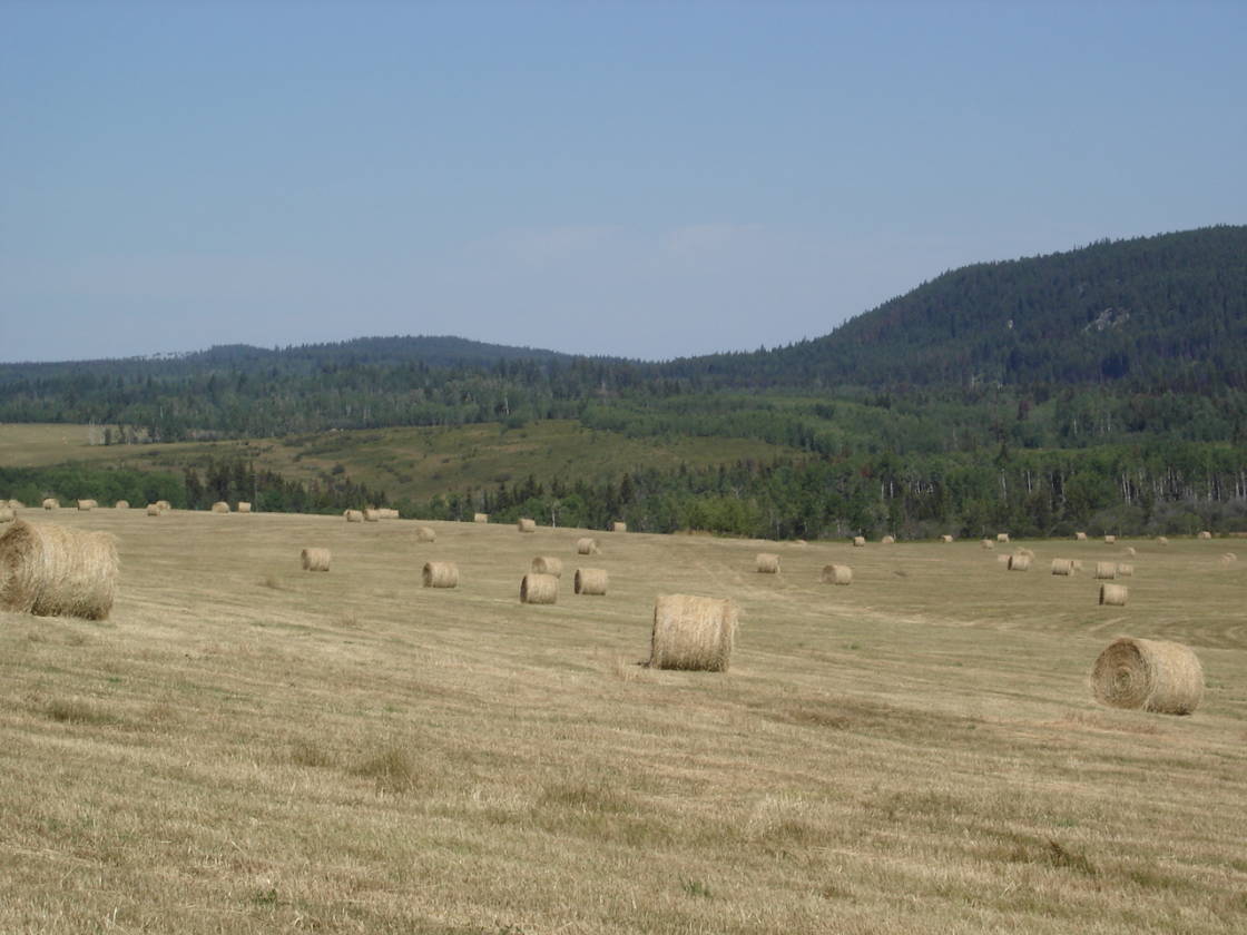 LIMESTONE MOUNTAIN RANCH HORSES, CATTLE, RECREATION Big Lake Ranch