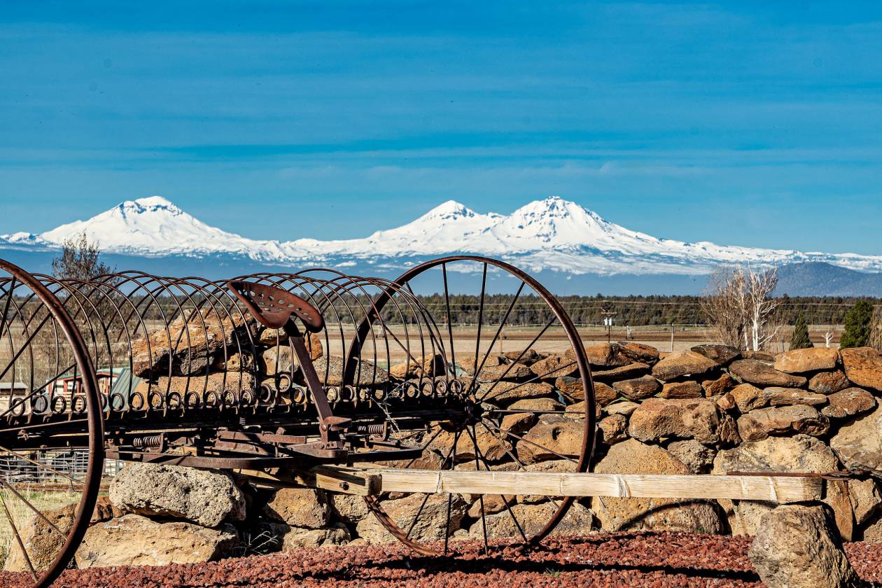 Horse Property for sale.