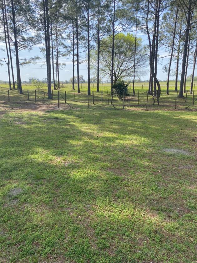 20 ACRE BEAUTIFULLY WOODED HOMESTEAD - photo 18