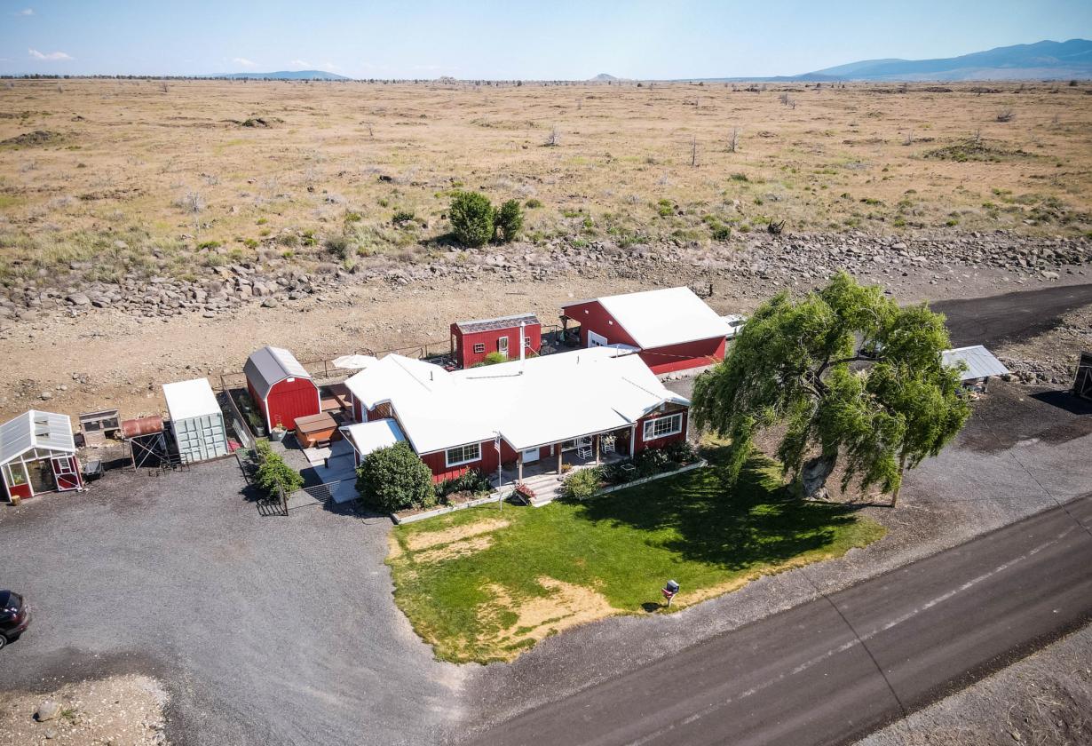 Endless opportunities on this 14+ acre property - photo 4