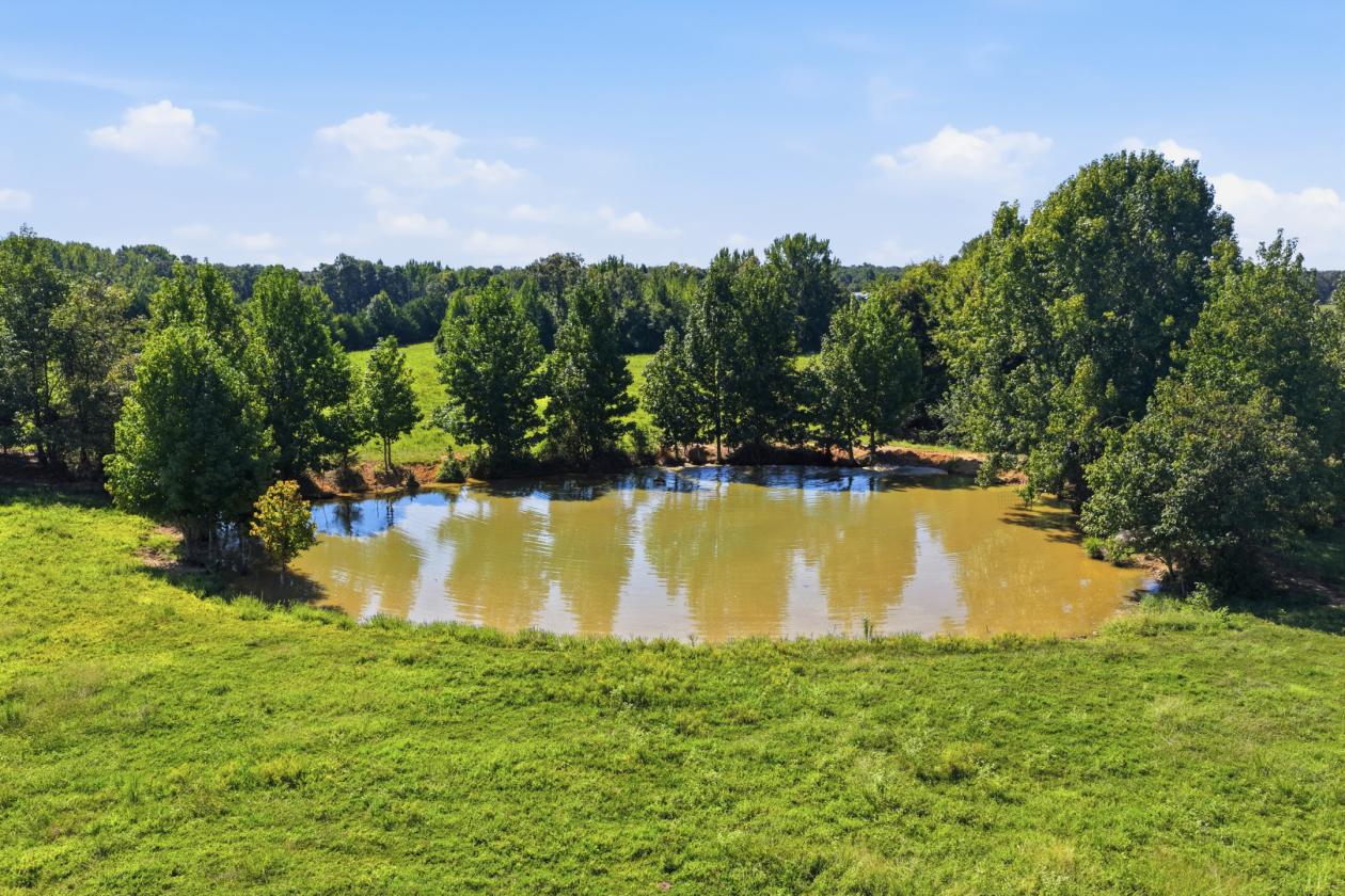 Luxury Horse Estate | Pool, Barn, Shop +28-71 Ac - photo 13