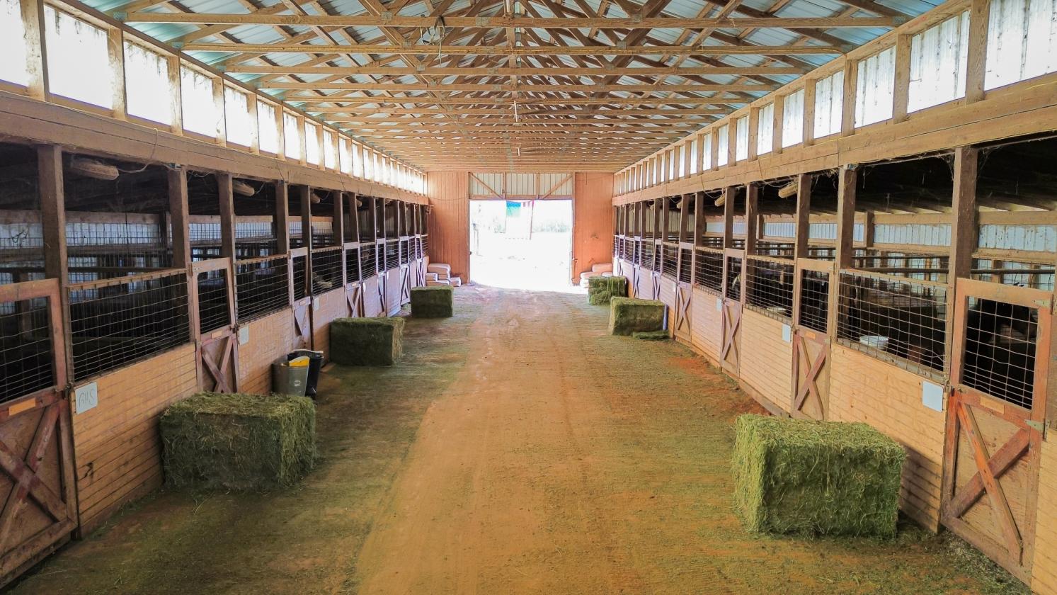 Horse Farm w/Barn, Arena, Apt, 12+ Acres - photo 20