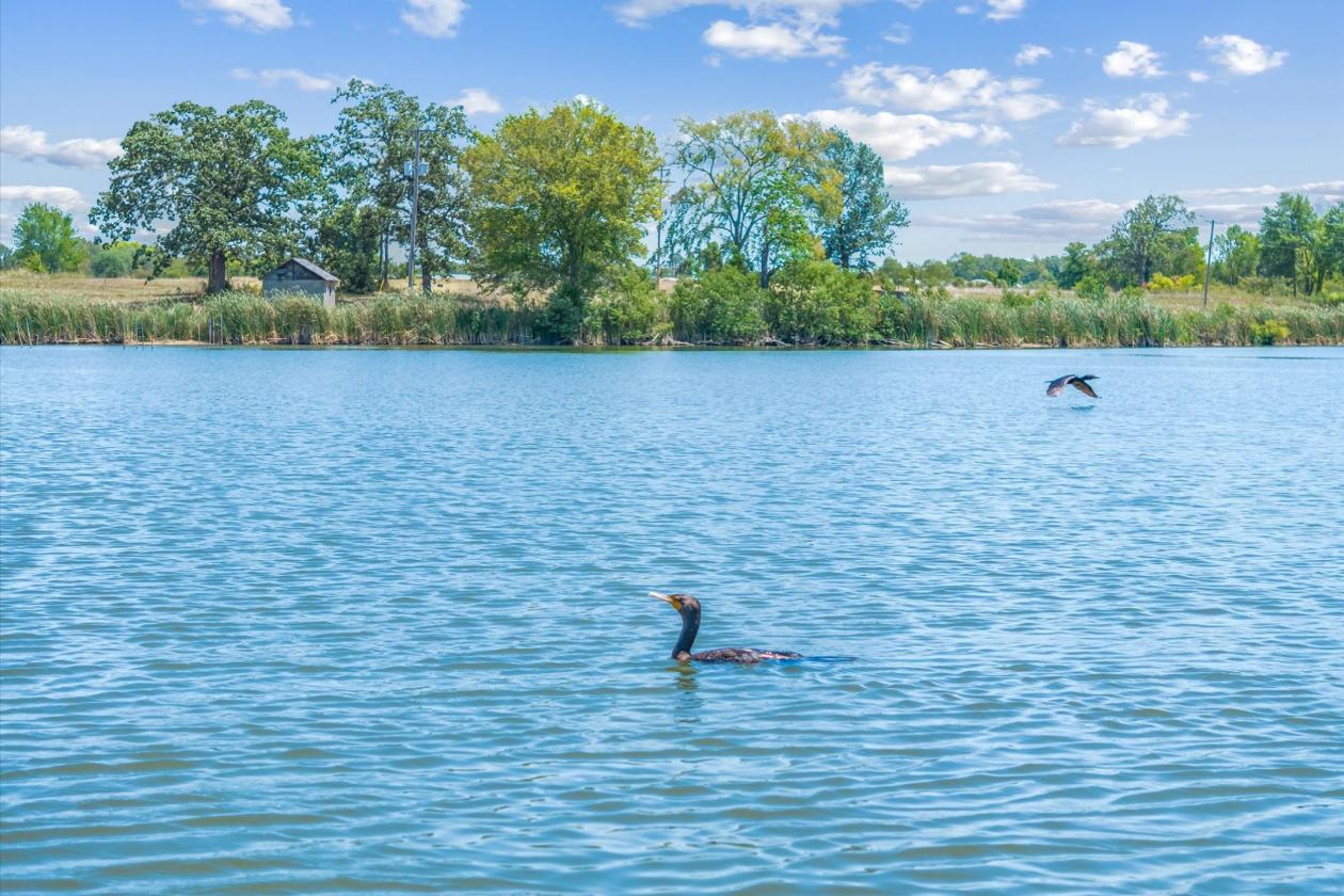 RARE OPPORTUNITY ON 74± ACRES - photo 19