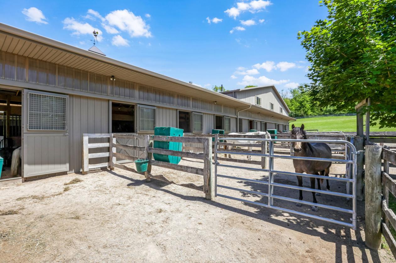 Exceptional Horse Property - photo 25