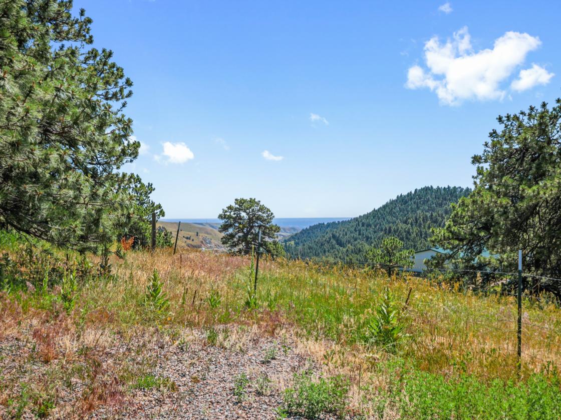 10 acre Horse Property - photo 8