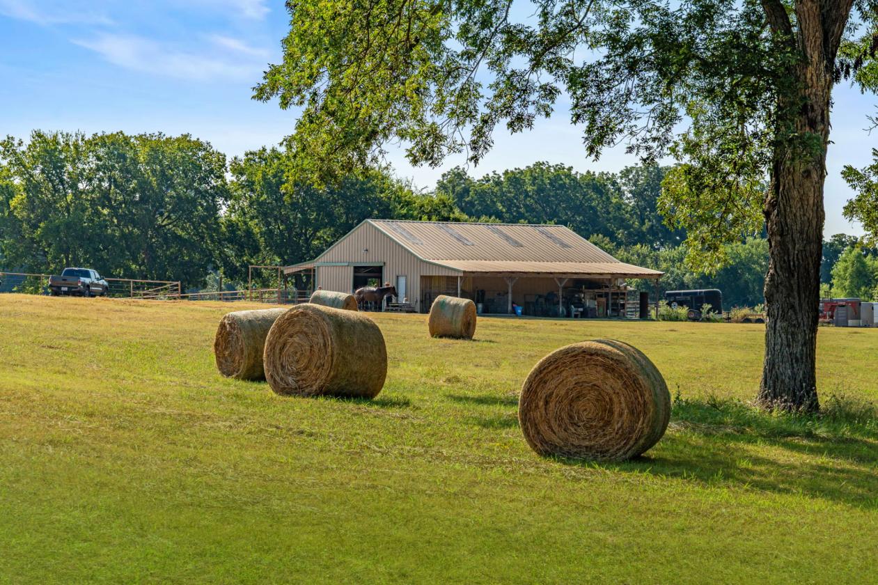 Your Horse ,Your Property, Your New Home - photo 5