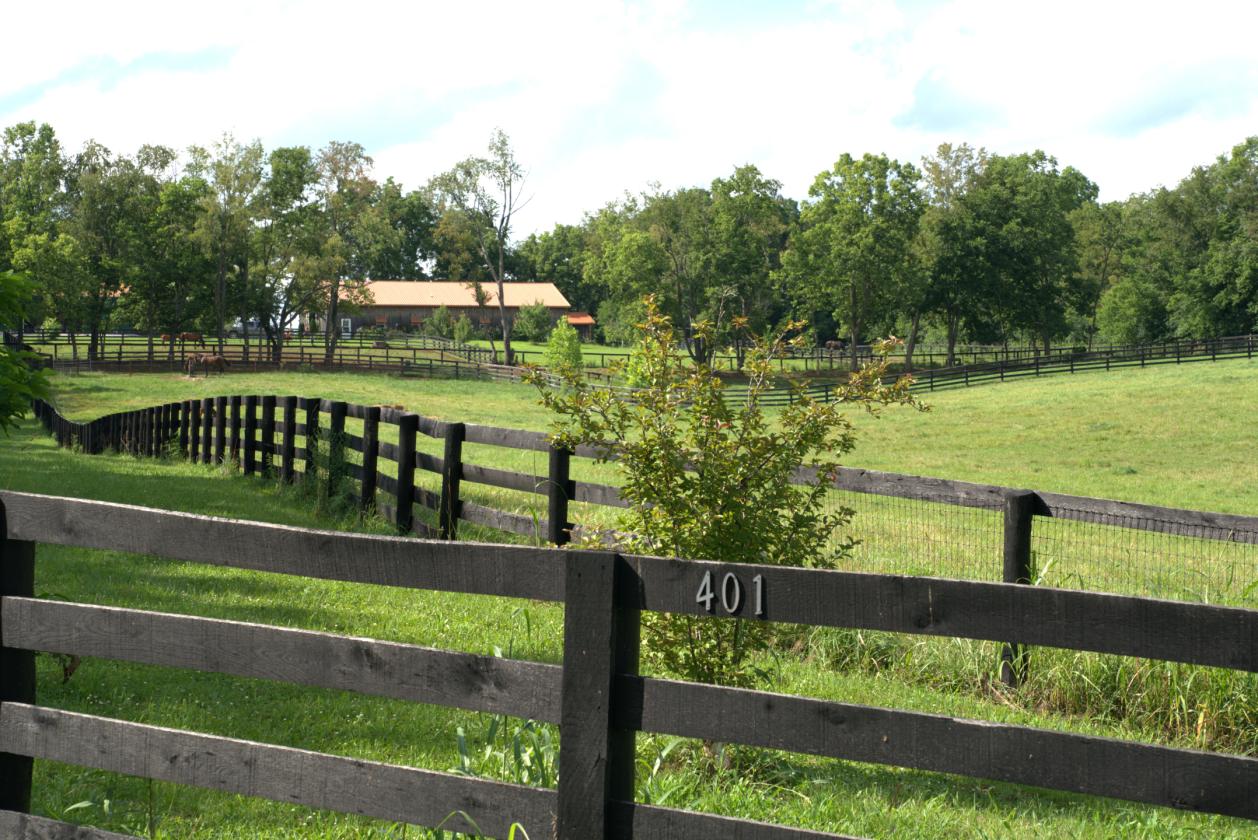 Boutique Farm in the Heart of the Bluegrass - photo 1