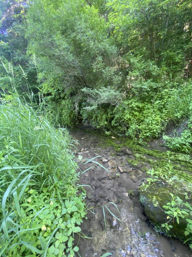 Deep River Farm - photo 21