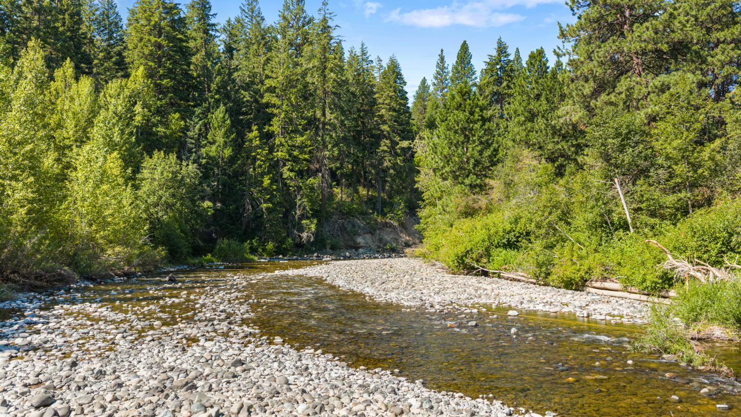 5 Acres with 800 ft. of river waterfront - photo 11