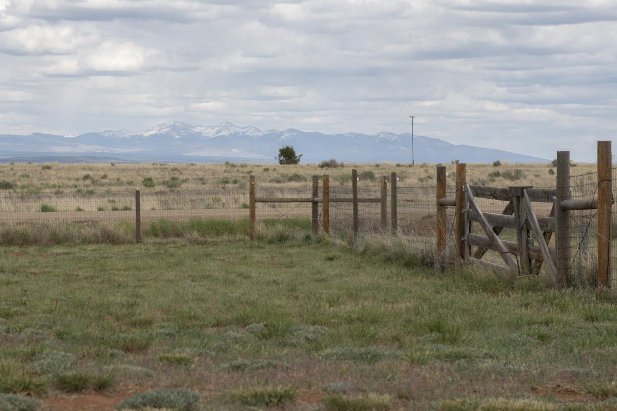Exquisite Horse Property with Mountain Views - photo 22