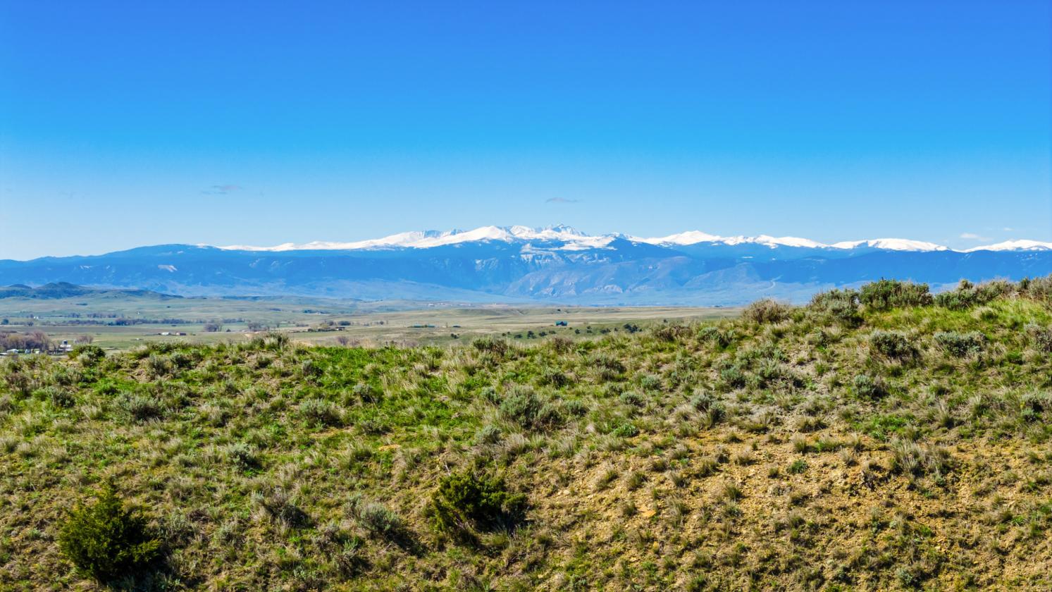 Premier Horse Property With Trophy Mule Deer - photo 28