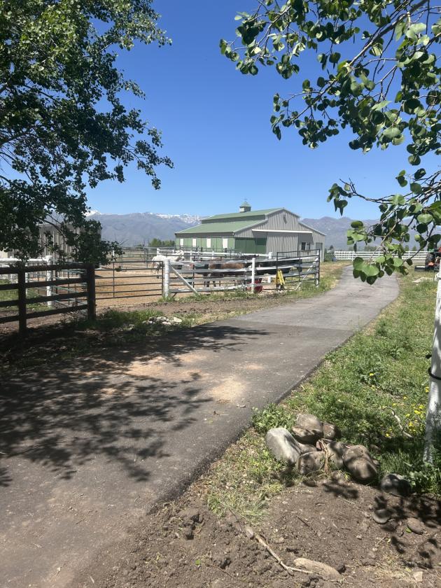 Turn key 10 acre equestrian estate - photo 17
