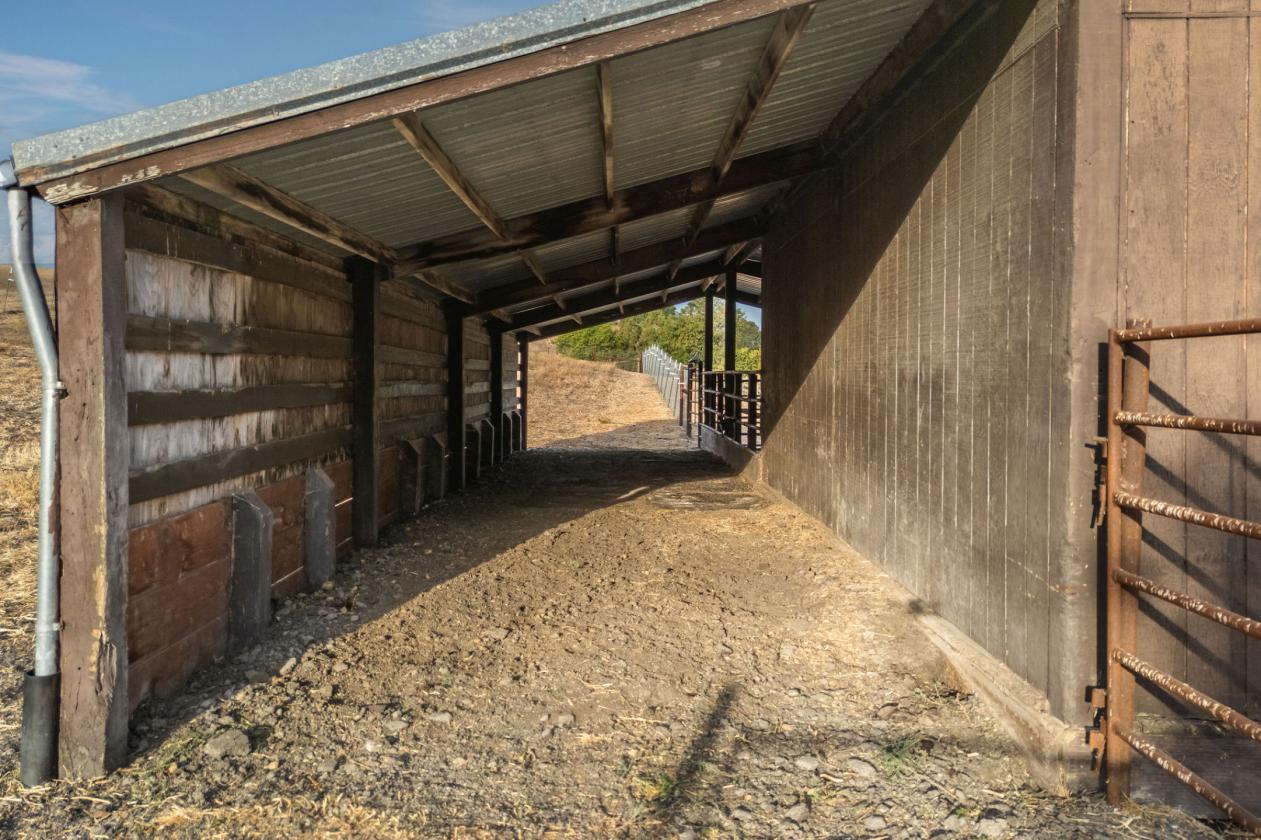 6.17-Acre Equestrian Retreat with Custom Shop - photo 12