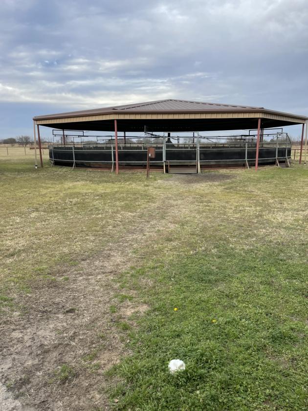 TM Horse Ranch - photo 11