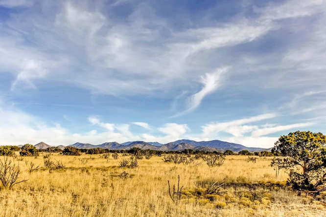 155 VIEW Acres - photo 18