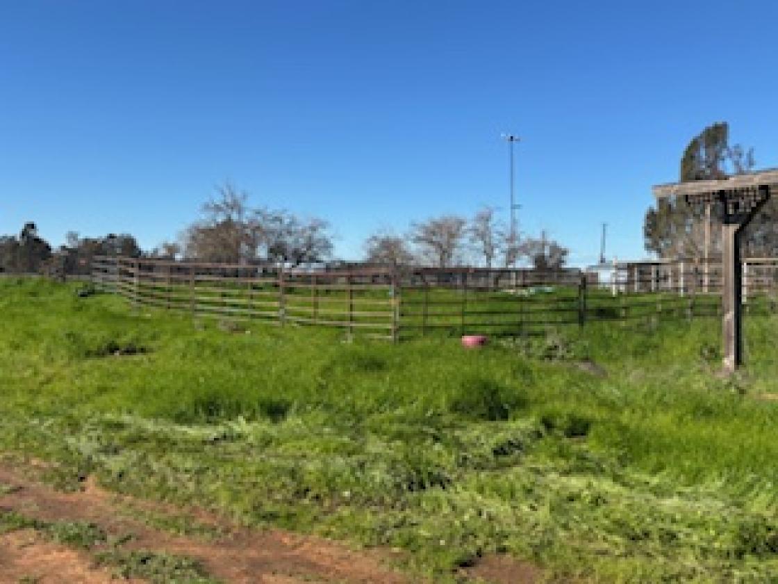 Exceptional Equestrian Breeding &Boarding Facility - photo 9