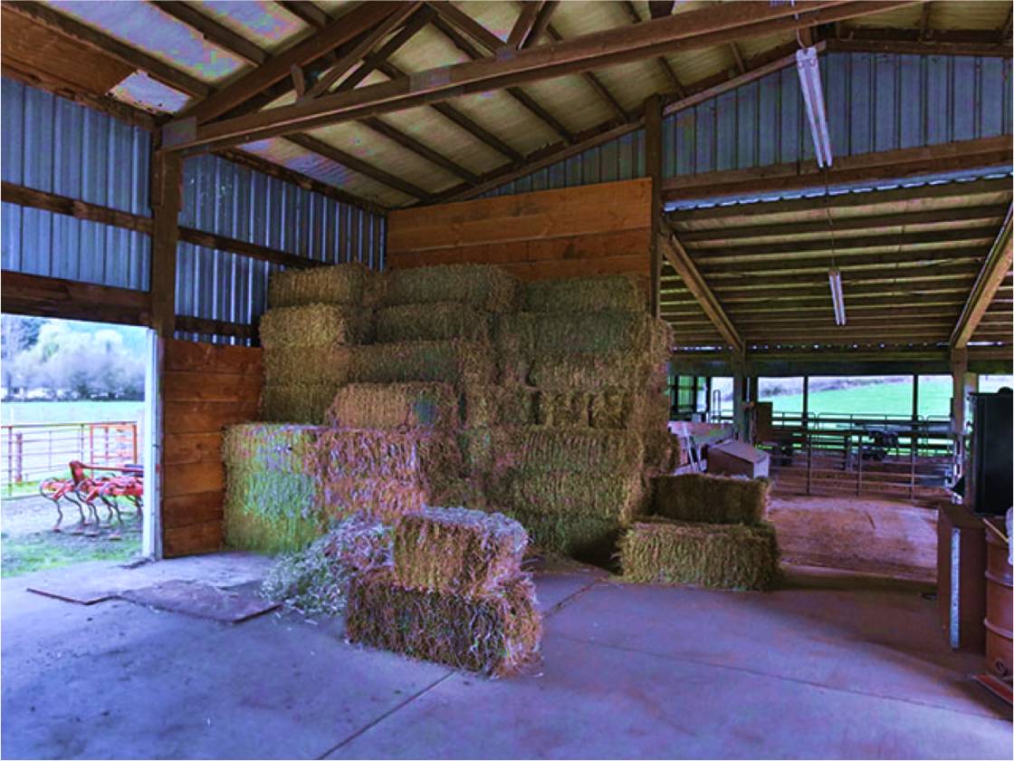 Horse Property Oregon Columbia County Riding Arena