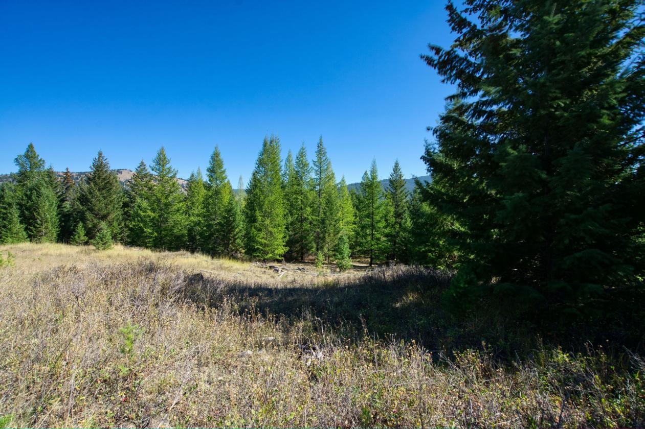 350 Acres & Private Access to MT Forest Service - photo 20