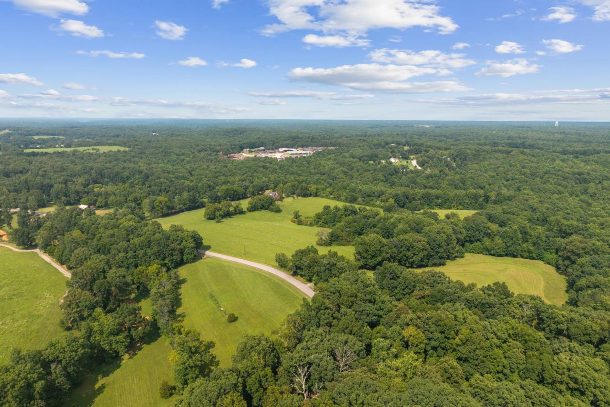 43+ Gorgeous Acres, Pond & Home in Leipers Fork - photo 15
