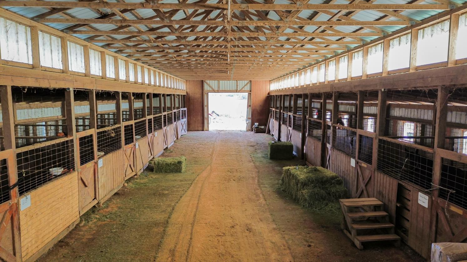 Horse Farm w/Barn, Arena, Apt, 12+ Acres - photo 21