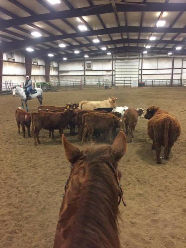 100 x250 ft Steel Engineered INDOOR ARENA, 138.6Ac - photo 12