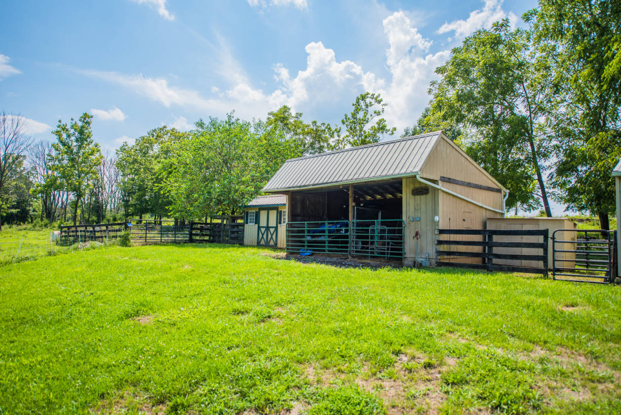 30+ acre Horse property conveniently located in Clarke county, VA