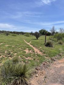 Property image.
