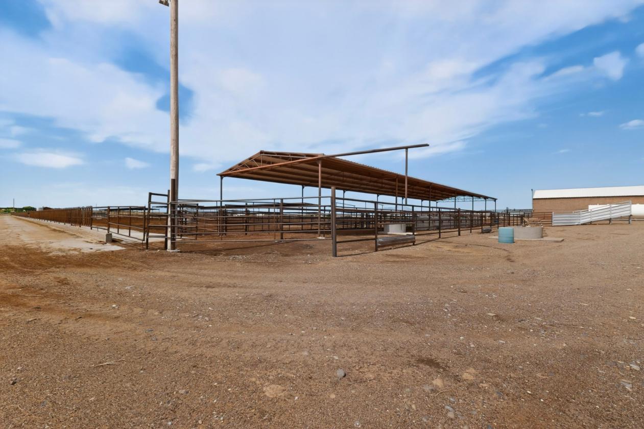 Horse Property/Dairy on 303 Acres - photo 25