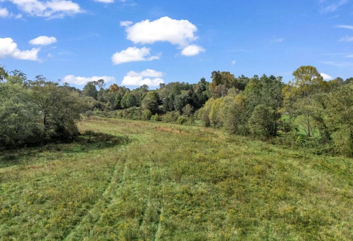 Nearly 50 Acres, Close to Asheville - photo 6