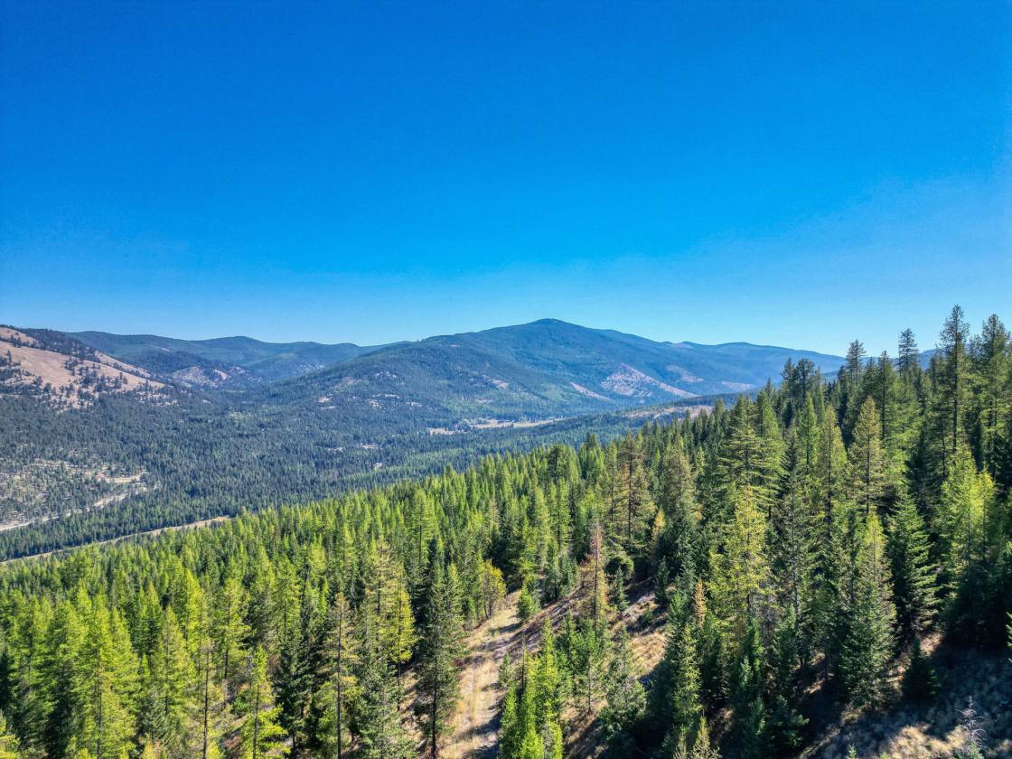 350 Acres & Private Access to MT Forest Service - photo 15