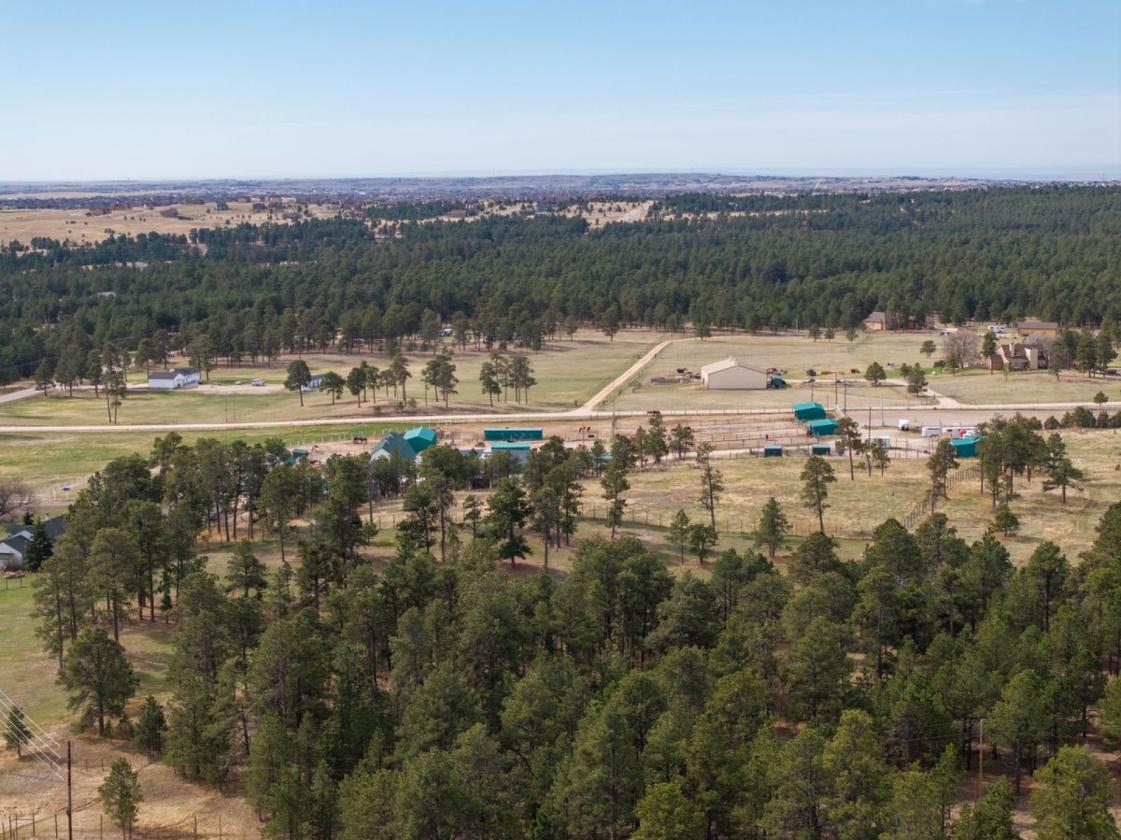 Historic Pine Run Ranch in Black Forest on 60AC - photo 23