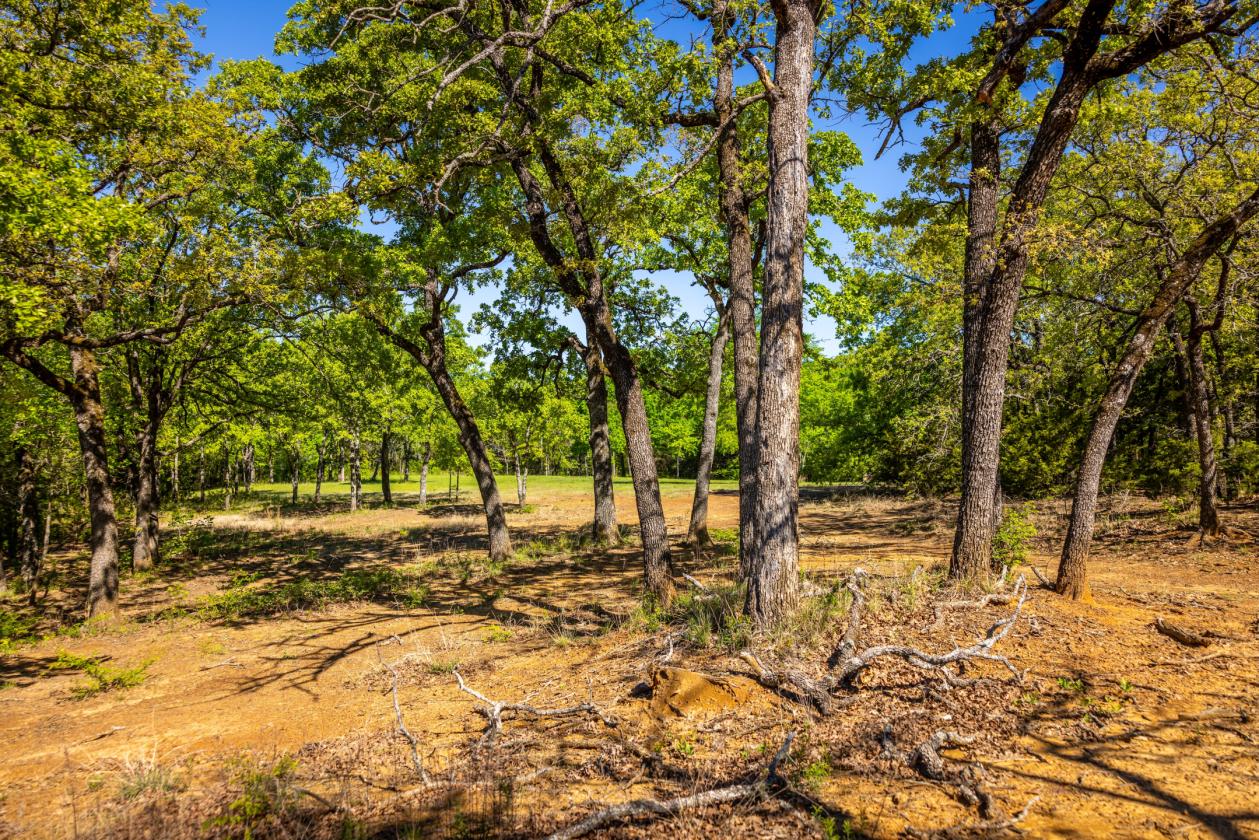 Spirit Ranch - Luxury NTX Equestrian Estate - photo 20