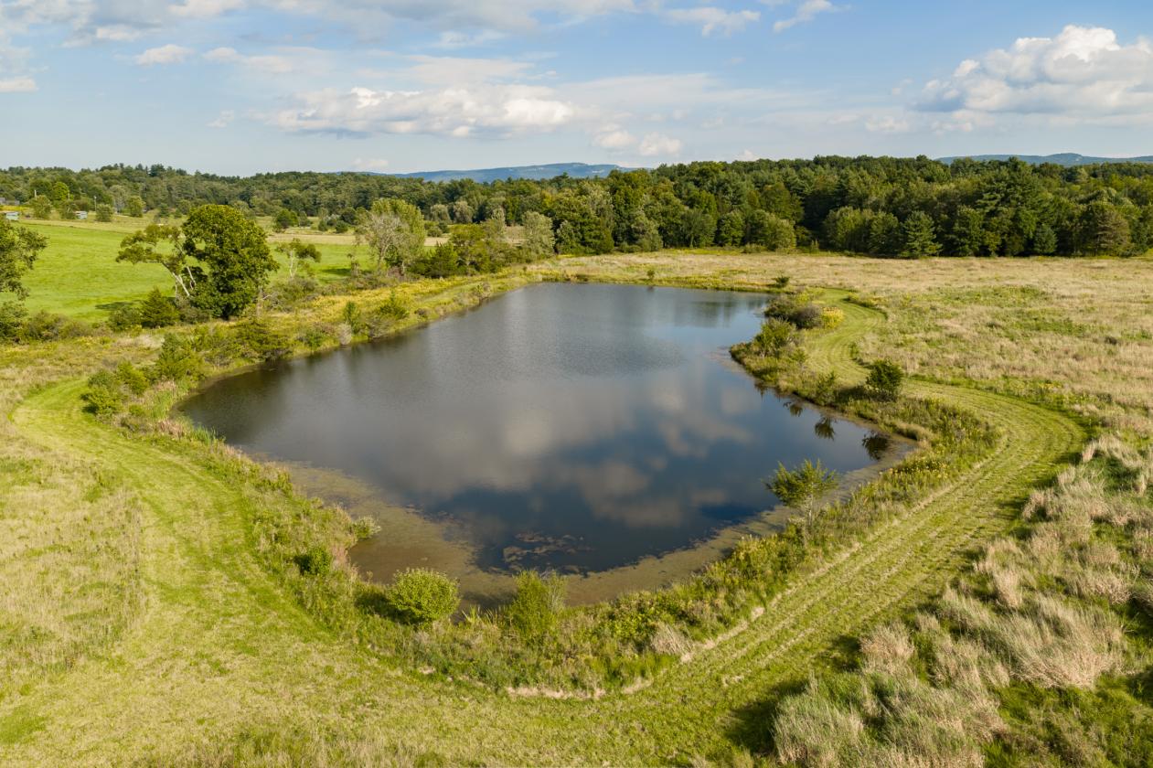 Equestrian Property with Modern Home and Fab Views - photo 5