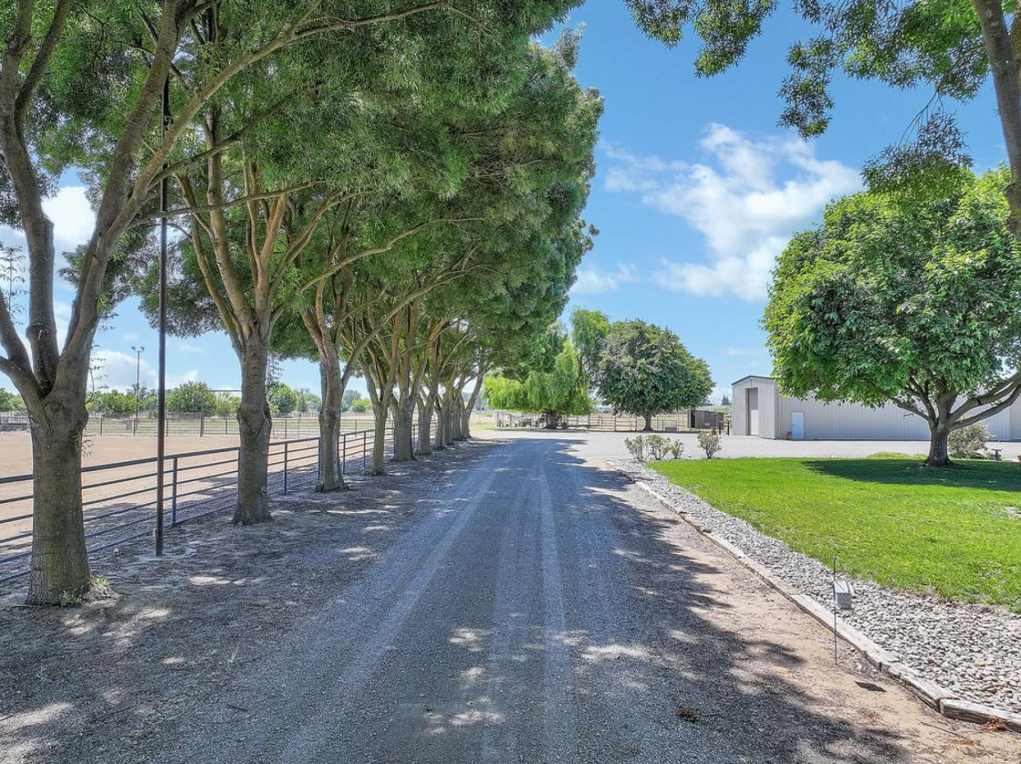 Premier Roping Property | Lighted Arena & Chute - photo 6
