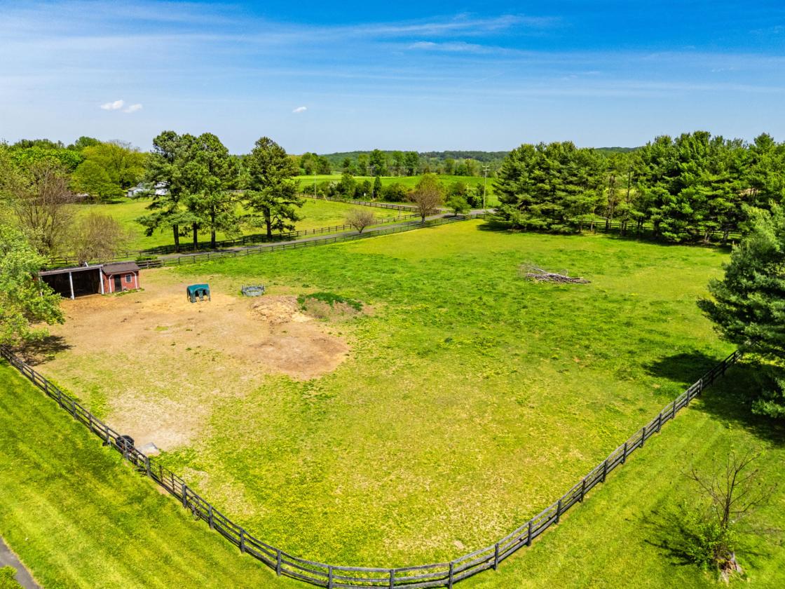Black Jack Farm - photo 5