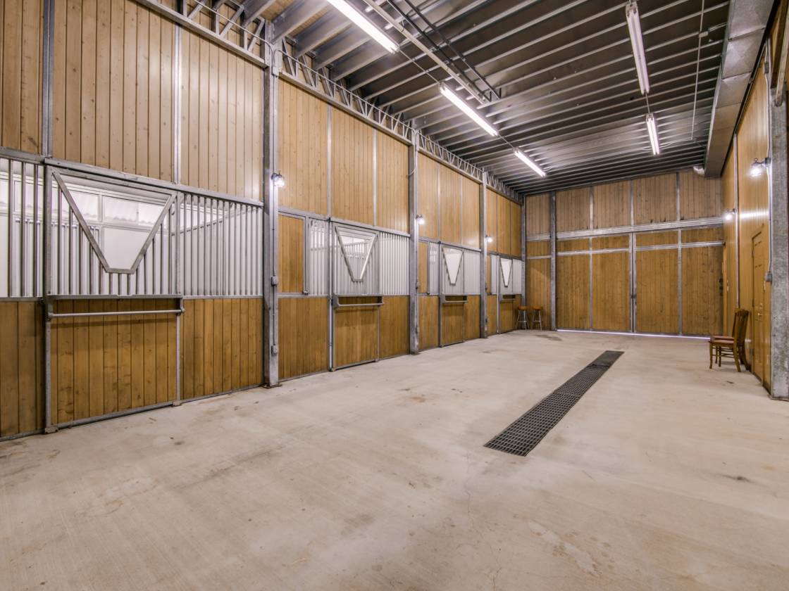 Weekend Equestrian Barndominium on 40 acres Daingerfield, Morris