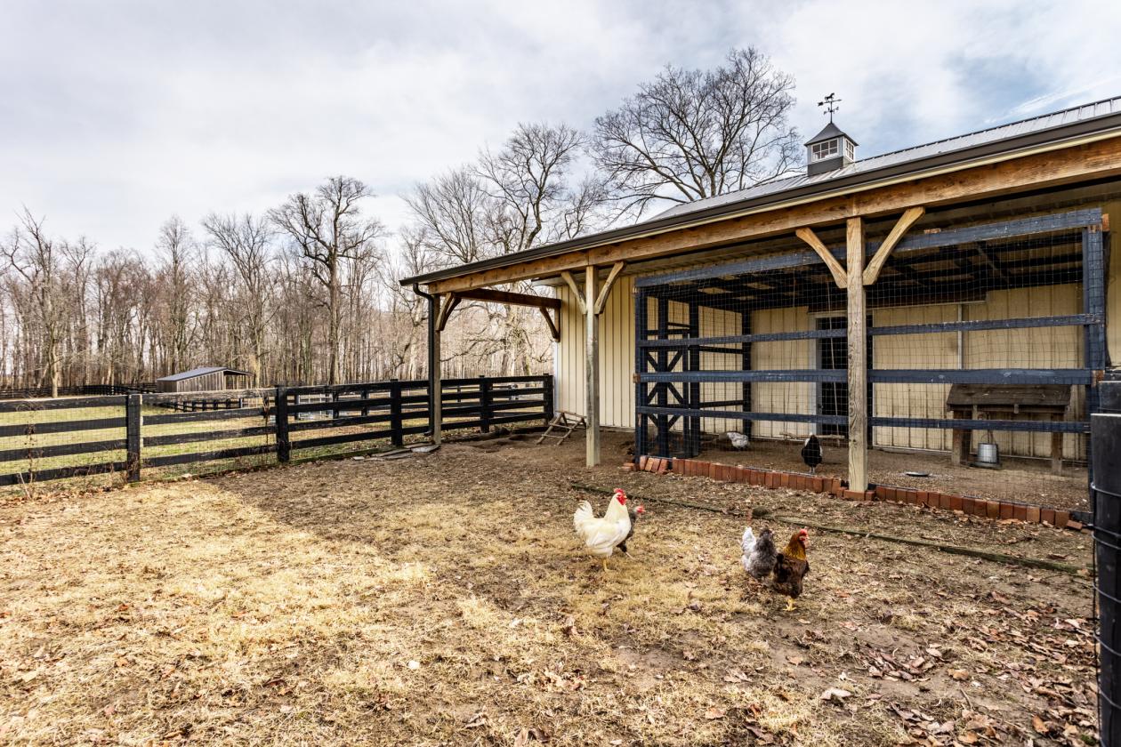 Luxury 28± Acre Equestrian Estate - photo 5