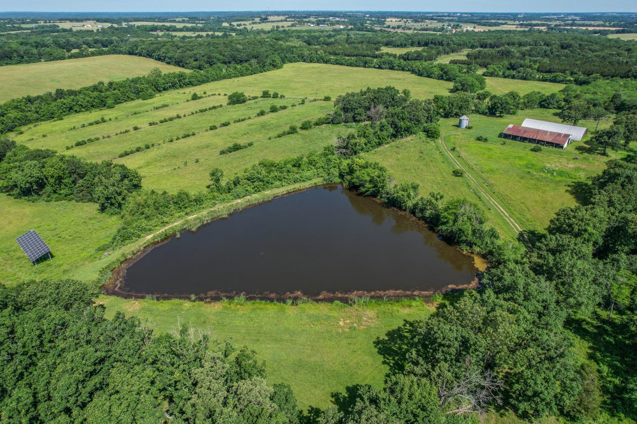 Luxury 227 Acre Horse Property - photo 27