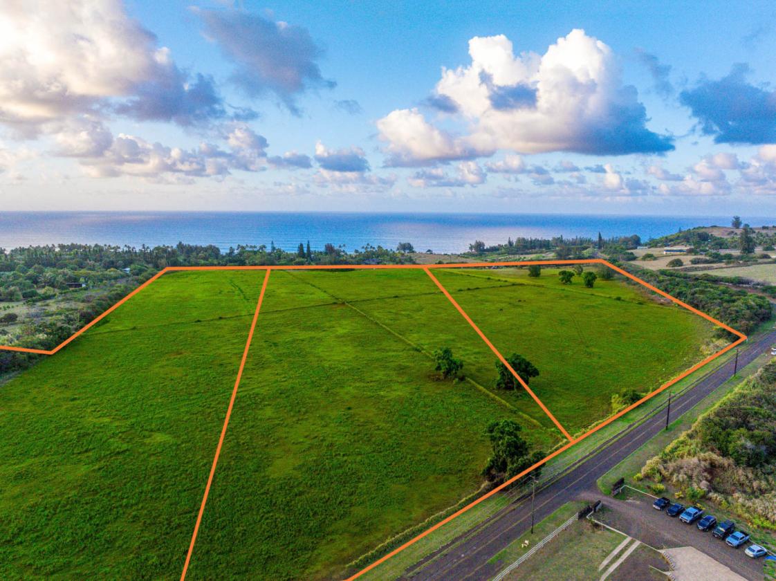 58+ Acres of Prime Land on Kauai's North Shore - photo 11