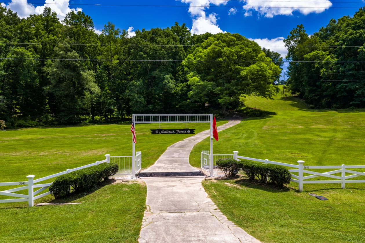 58± Acres with Spectacular Views, Pond & Barn - photo 5