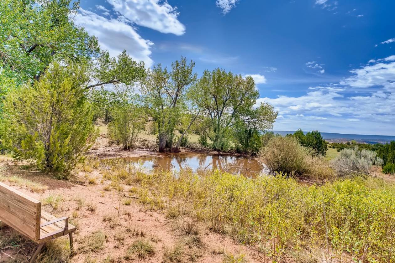 29 County Rd B41 E Ribera, San Miguel County, New Mexico