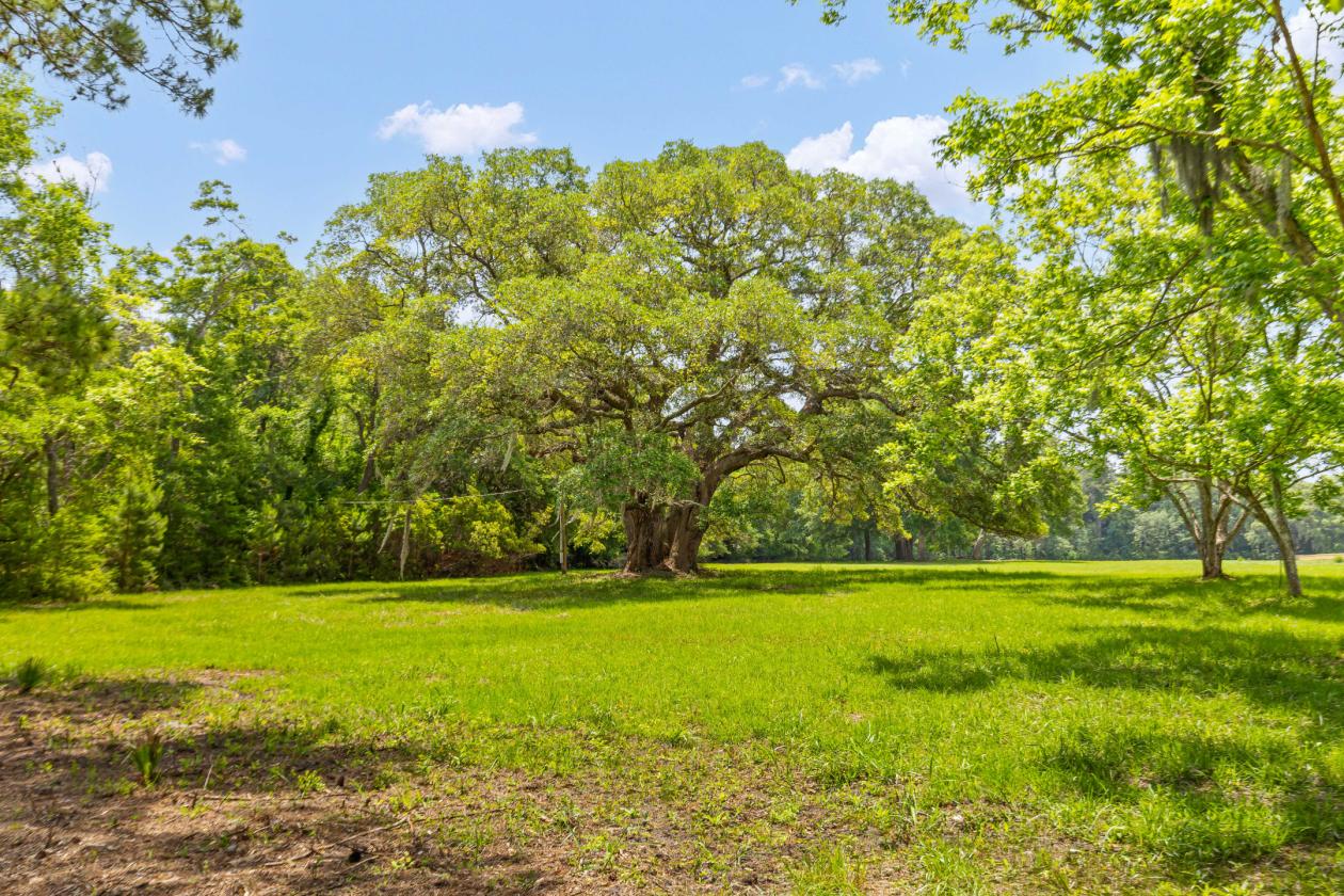 12.59 Waterfront Lowcountry Equestrian Retreat - photo 4
