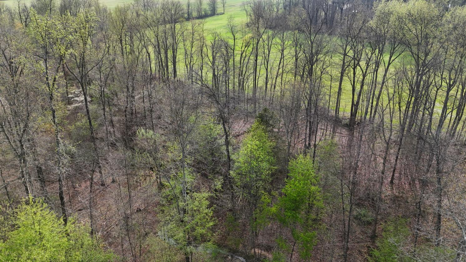 Excellent Acreage For Future Equestrian Property - photo 14