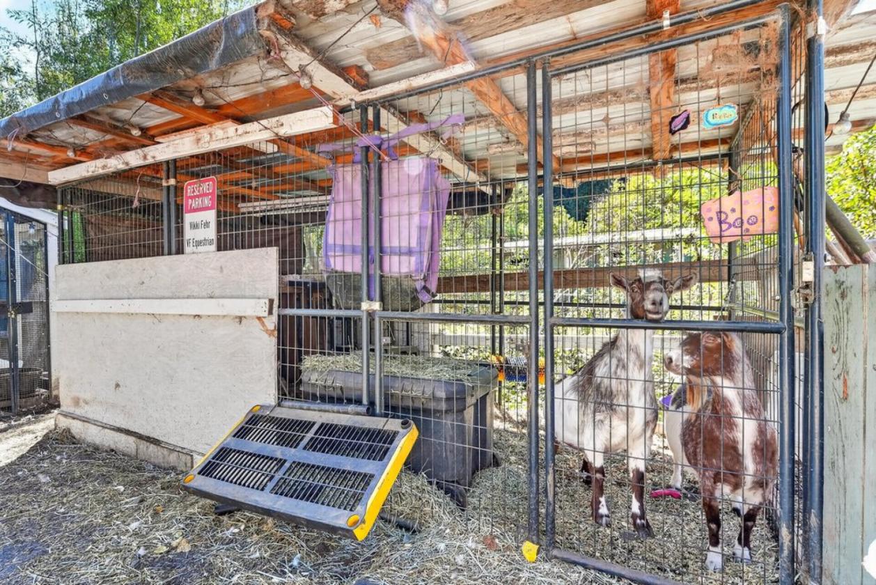 Legendary Willowpond Equestrian Estate - photo 22
