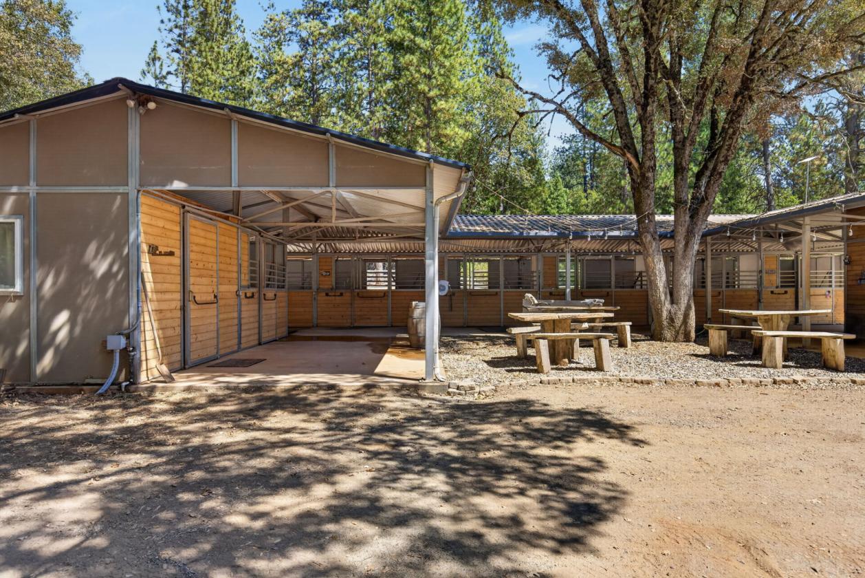 The Equestrian Lifestyle You've Been Waiting For - photo 2