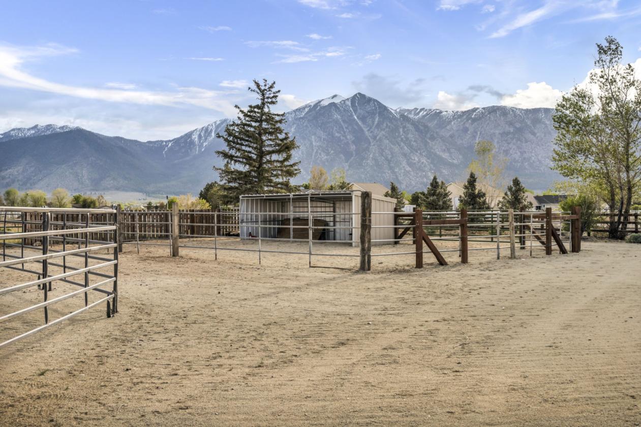 1.5 MILLION DOLLAR REMODELED HORSE ESTATE - photo 13