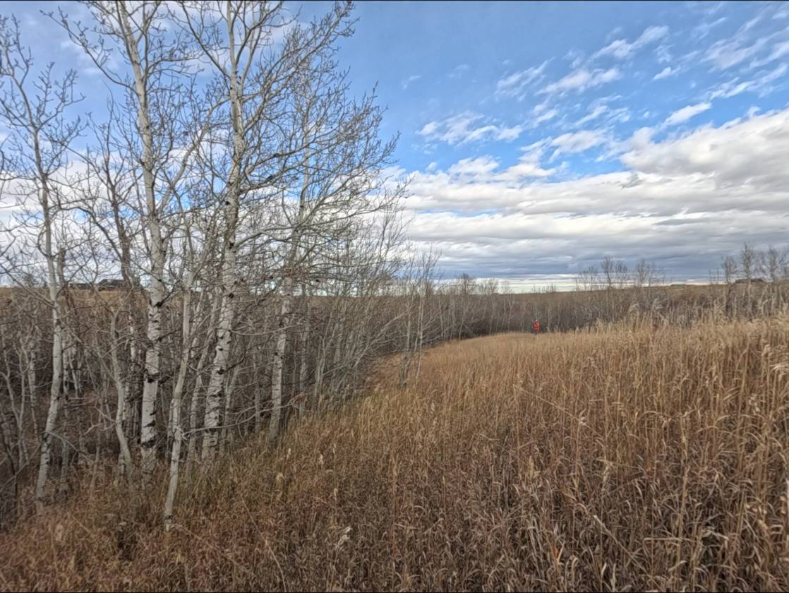 15.268 Acres! Creeks! Trails! Views! Meadows! - photo 24