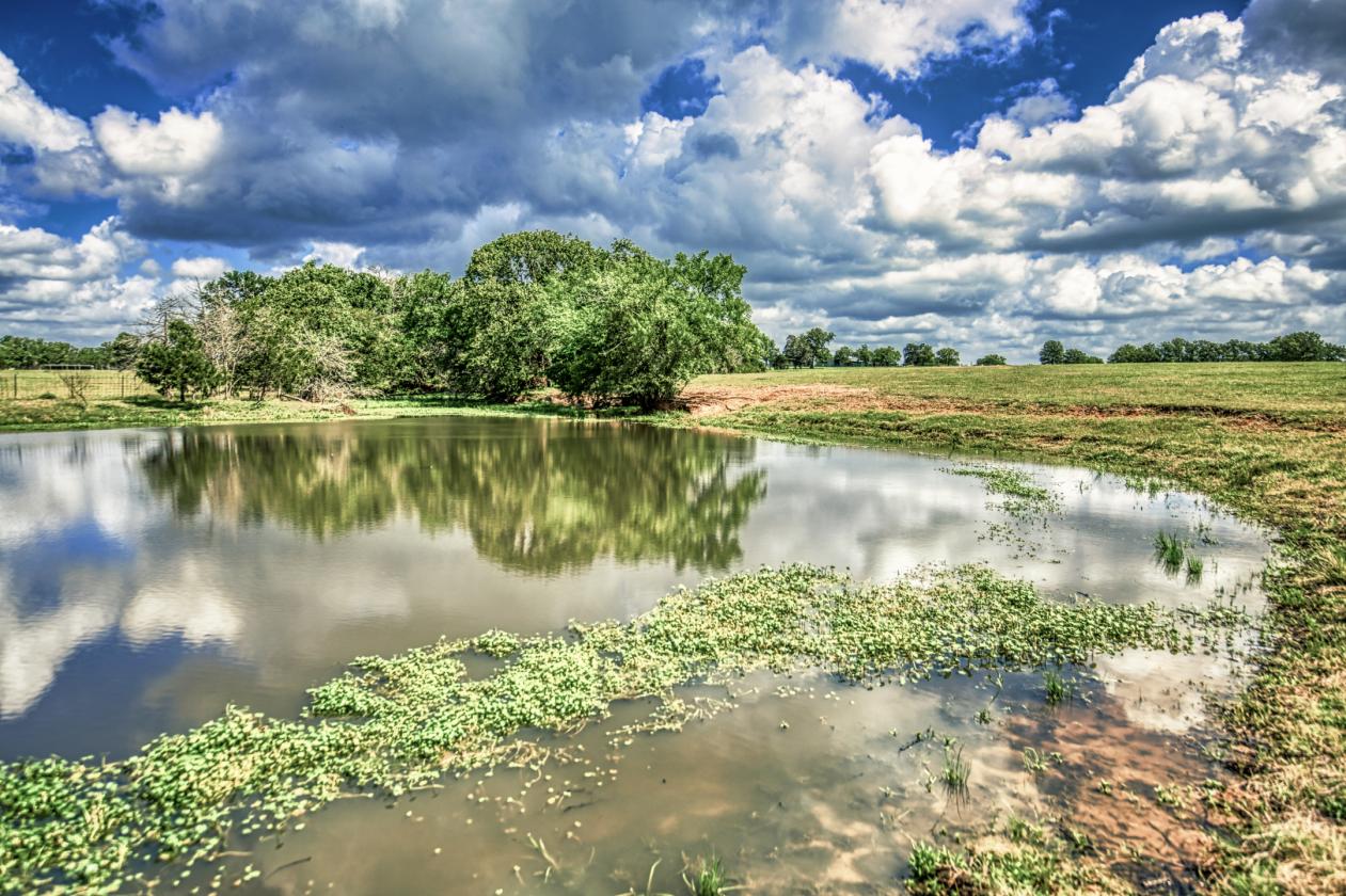 119-Acre Ranch with Multiple Living Quarters - photo 3